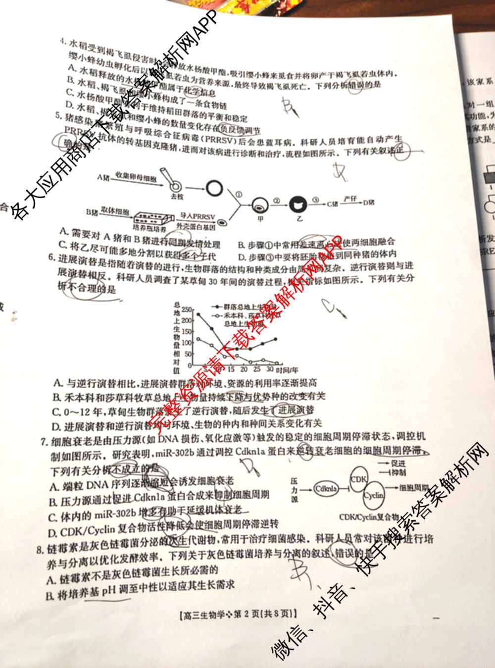 陕西省2026届高三考试(四个实心菱形)(3.5)试卷及答案汇总（9科全）生物试题