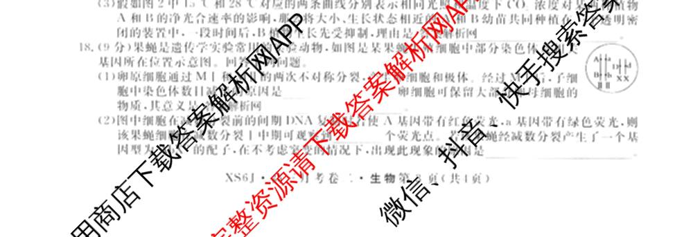 名校联考2026届高三总复月考卷(二)2各科答案及试卷(含化学(XS6J) 英语(XS6) 历史(XS6J)等)生物试题 名校联考2026届高三总复月考卷(二)2各科答案及试卷(含化学(XS6J) 英语(XS6) 历史(XS6J)等)生物试题