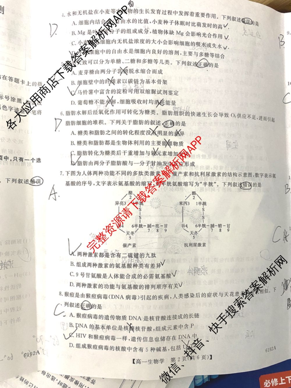 陕西省2025~2026第一学期12月质量检测高一(6192A)试卷及答案汇总: 含生物、历史、地理试卷解析生物试题