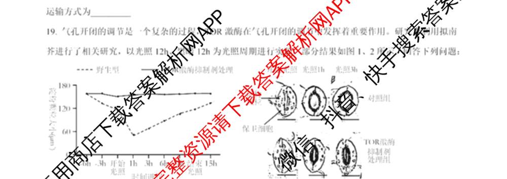 河南省2025-2026学年高一年级3月测评各科答案及试卷（含历史 数学 物理等9份）生物试题