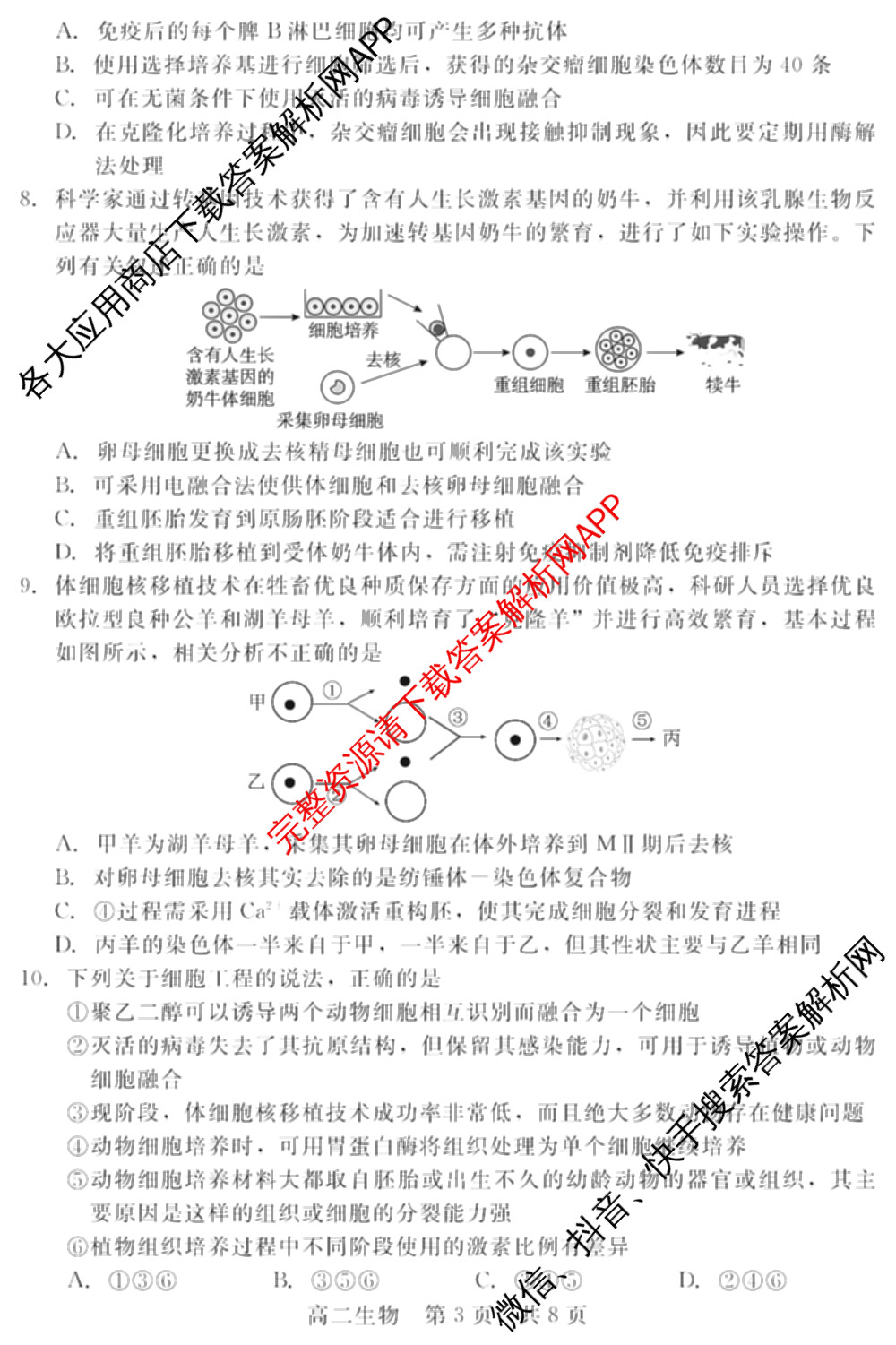 新时代NT教育2024-2025学年第二学期高二年级4月期中考试试卷及答案汇总(已更新英语 历史 语文等11份)生物试题