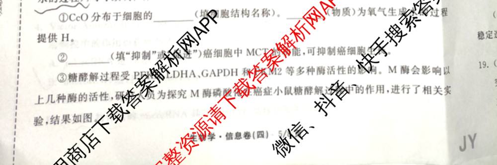 天舟高考衡中同卷2026年普通高等学校招生全国统一考试模拟信息卷(四)4试卷及答案汇总: 含化学(山东版)、生物(WY)、英语(B)试卷解析生物试题