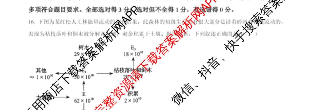 2024年高考真题(新高考)(已更新生物(山东卷) 数学(新课标II卷) 物理(河北卷)等108份)生物试题