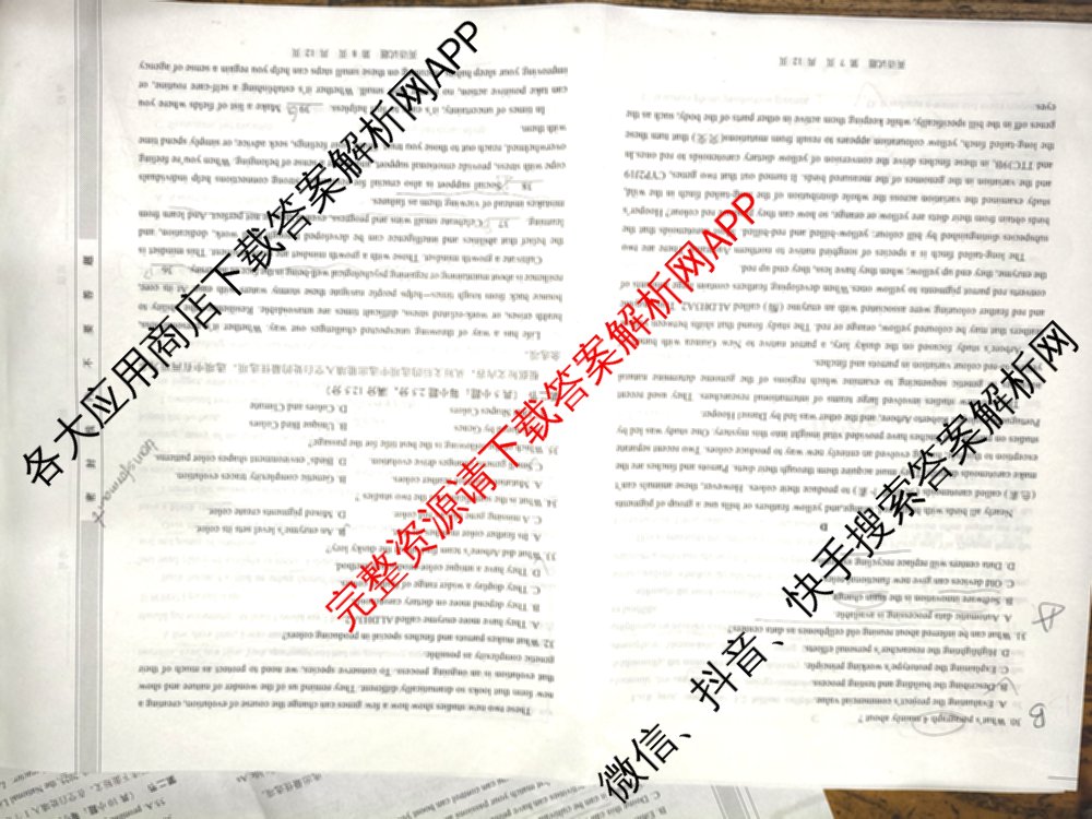 渭南市2026届高三教学质量检测(I)试卷及答案汇总（含数学 生物 语文等9份）英语试题