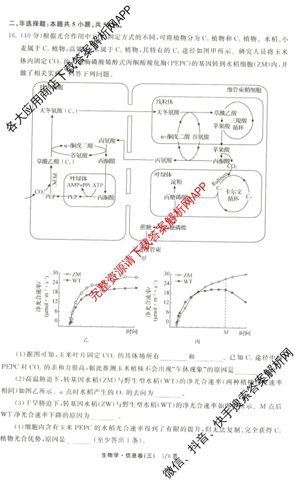 天舟高考衡中同卷2026年普通高等学校招生全国统一考试模拟信息卷(三)3试卷及答案汇总（含历史(GY) 物理(安徽版) 英语(通用版)等）生物试题