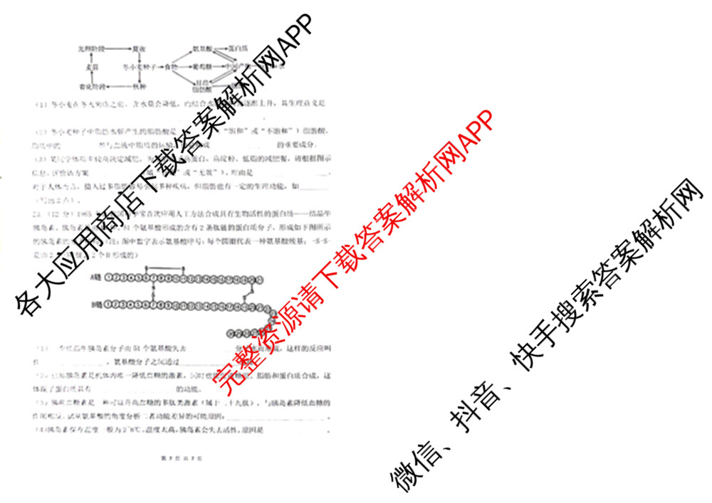 雅礼中学2025年下学期第一次质量检测（9科全）生物试题