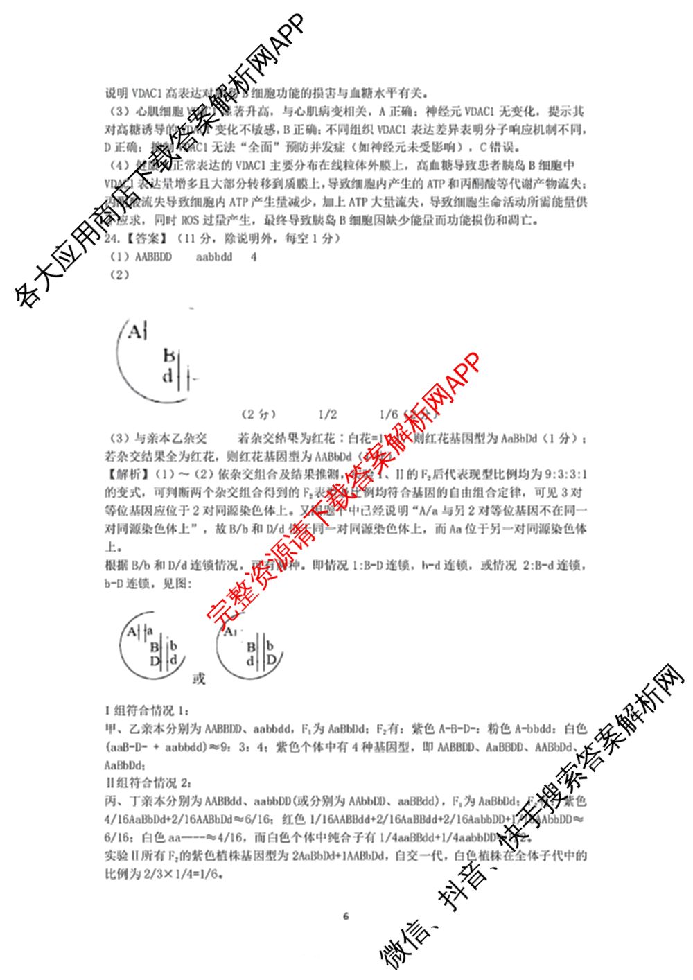龙东十校联盟2025届高三联考4月试卷及答案汇总（9科全）生物答案