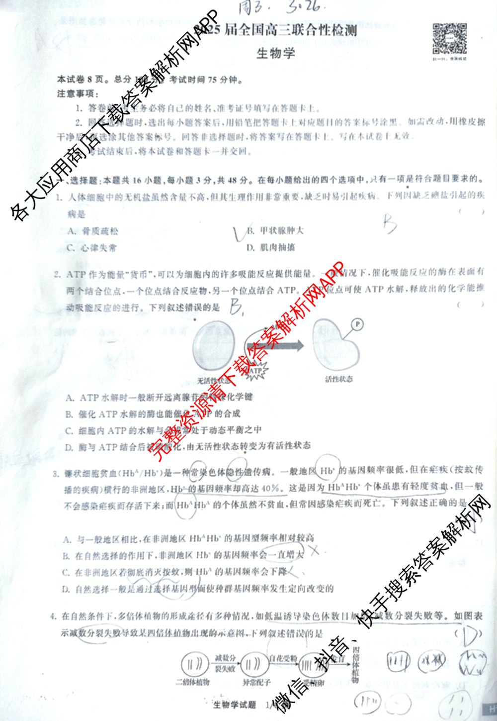 天舟高考衡中同卷2025届全国高三联合性检测(4月)（含物理(L专版)、生物(AH专版)、物理(J专版)等）生物试题