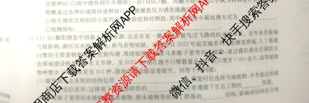 九师联盟2025~2026学年高三核心模拟卷(中)(四)试卷及答案汇总（36科全）生物试题