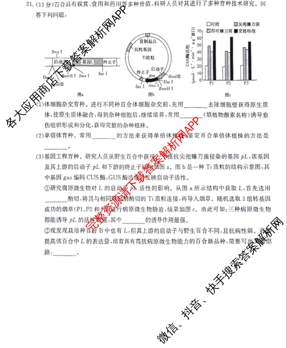 2024年高考真题(新高考)(已更新生物(山东卷) 数学(新课标II卷) 物理(河北卷)等108份)生物试题
