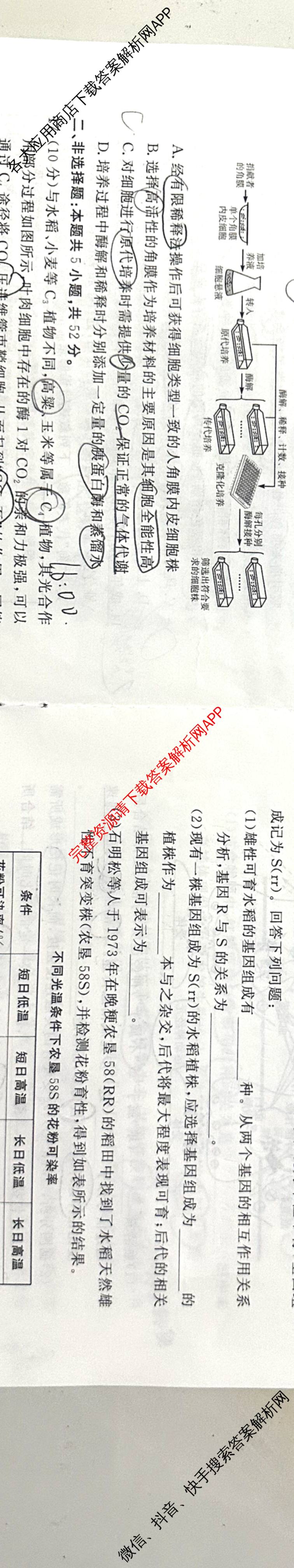 湘豫名校联考2025-2026学年4月高三(4.9)各科答案及试卷: 含生物、物理、化学试卷解析生物试题
