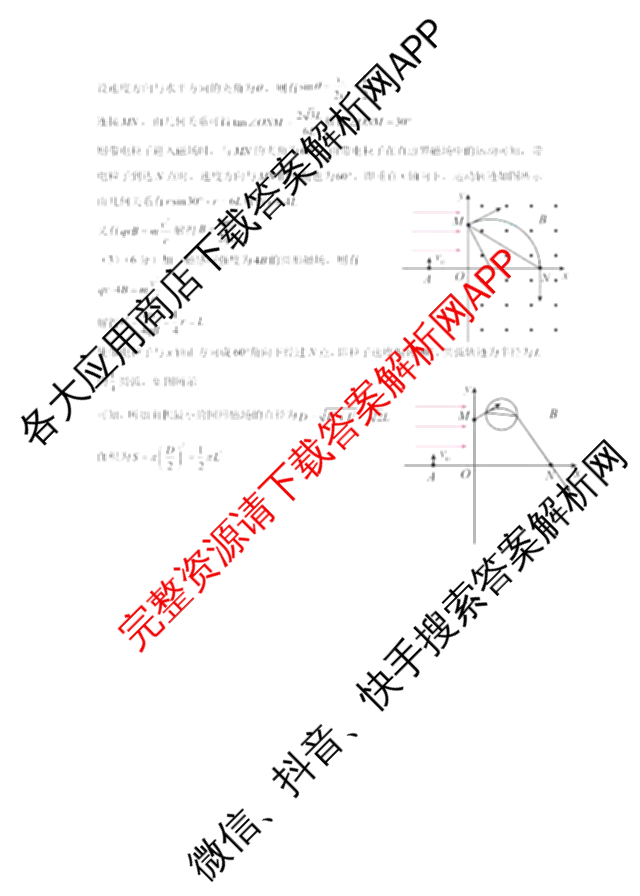 辽宁省实验中学2024-2025学年度下学期高三年级第五次模拟考试试卷及答案汇总（含化学、地理、物理等9份）物理答案