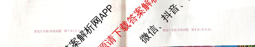 王后雄2024年普通高等学校招生全国统一考试预测卷各科答案及试卷（含语文(安徽专版)、政治(重庆专版)、历史(福建专版)等144份）历史试题