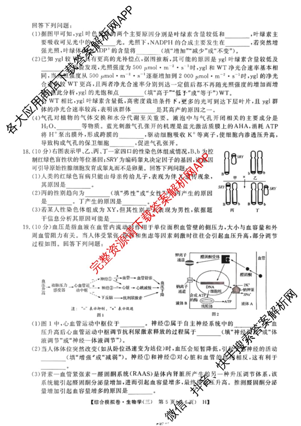 2026普通高等学校招生全国统一考试综合模拟卷(三)3（含化学(H)、化学(B)、数学(X)等14份）生物试题