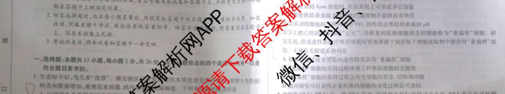 天一大联考2024-2025学年高中毕业班阶段性测试(一)试卷及答案汇总（含历史、物理、生物等）生物试题