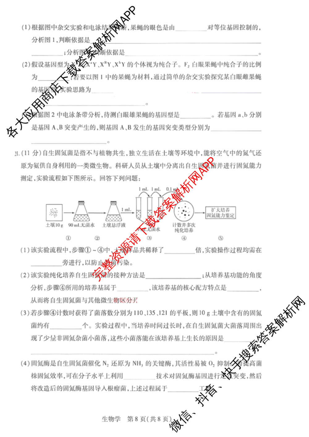 天一大联考2025-2026学年高三4月联考(HN202604)(4.7)试卷及答案汇总（含数学、化学、地理等）生物试题