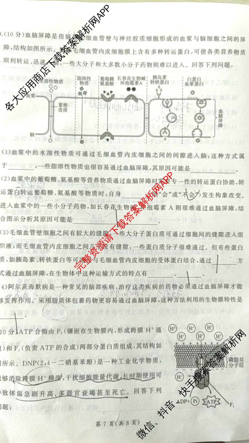 百师联盟2025-2026学年度高三9月调研考试各科答案及试卷（含英语、语文、生物等）生物试题