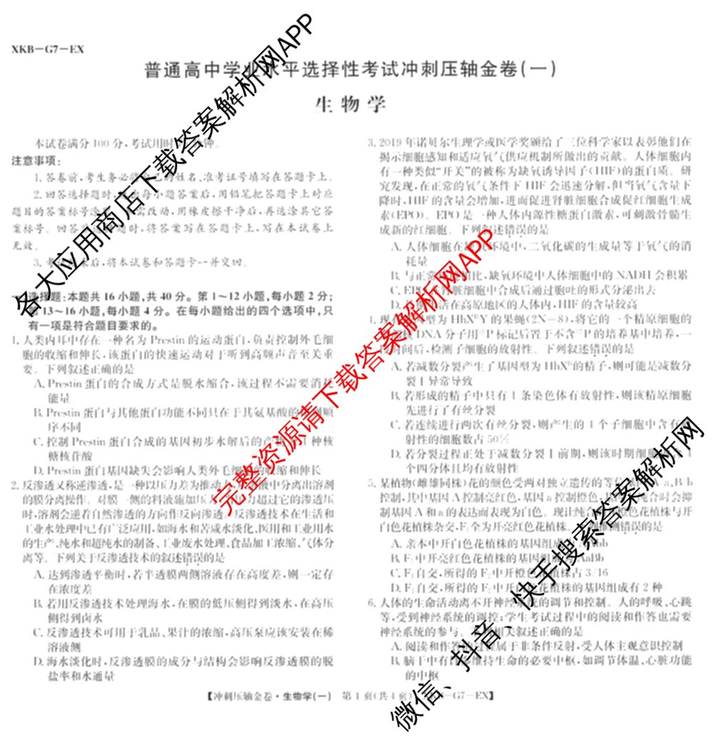 XKB2025届普通高等学校招生全国统一考试冲刺压轴金卷(一)1（含物理(XKB-G10-EX) 英语(XKB-G1-EX) 化学(XKB-G1-H-EX)等）生物试题