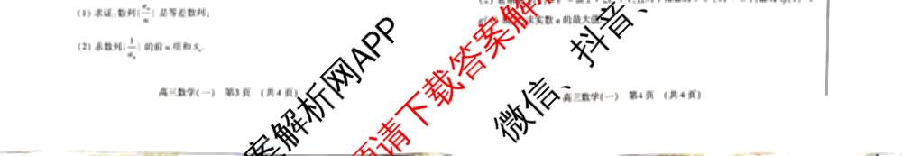 洛阳市2025届高三适应性模拟测试卷(一)各科答案及试卷(已更新化学、英语、语文等9份)数学试题