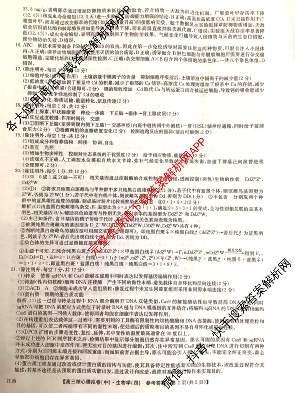 九师联盟2025~2026学年高三核心模拟卷(中)(四)试卷及答案汇总（36科全）生物答案