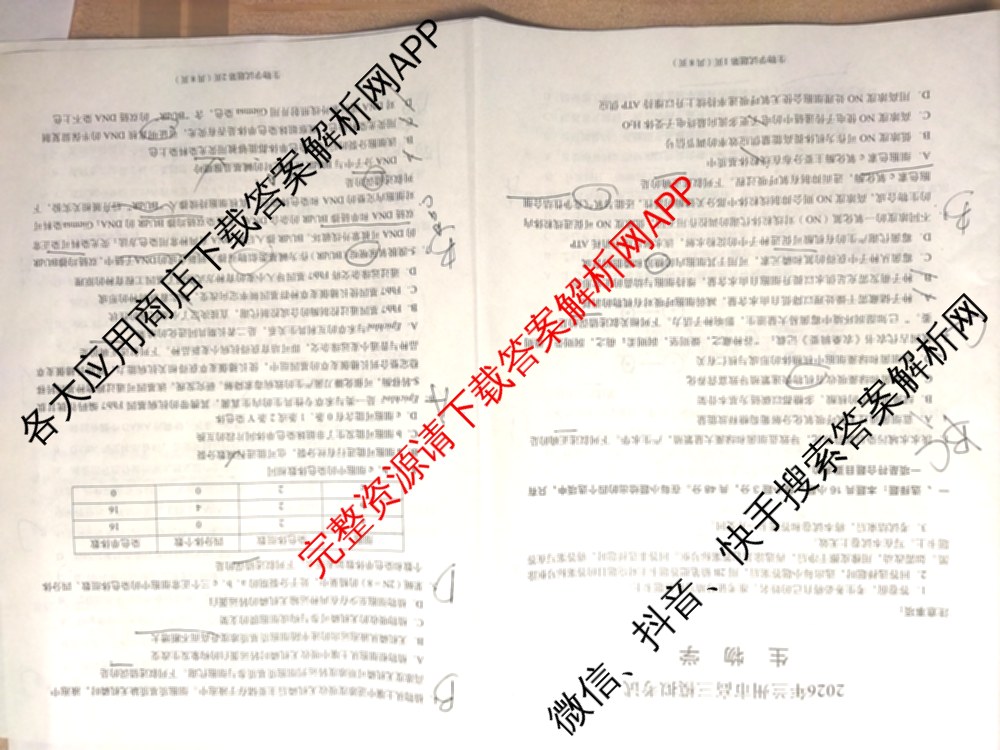 甘肃省2026年兰州市高三模拟考试(3月)（含化学、生物、语文等）生物试题