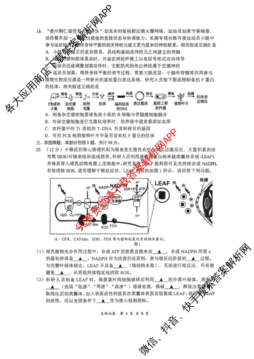 江苏南通2027届高三第一次质量监测各科答案及试卷（含物理、生物、历史等9份）生物试题