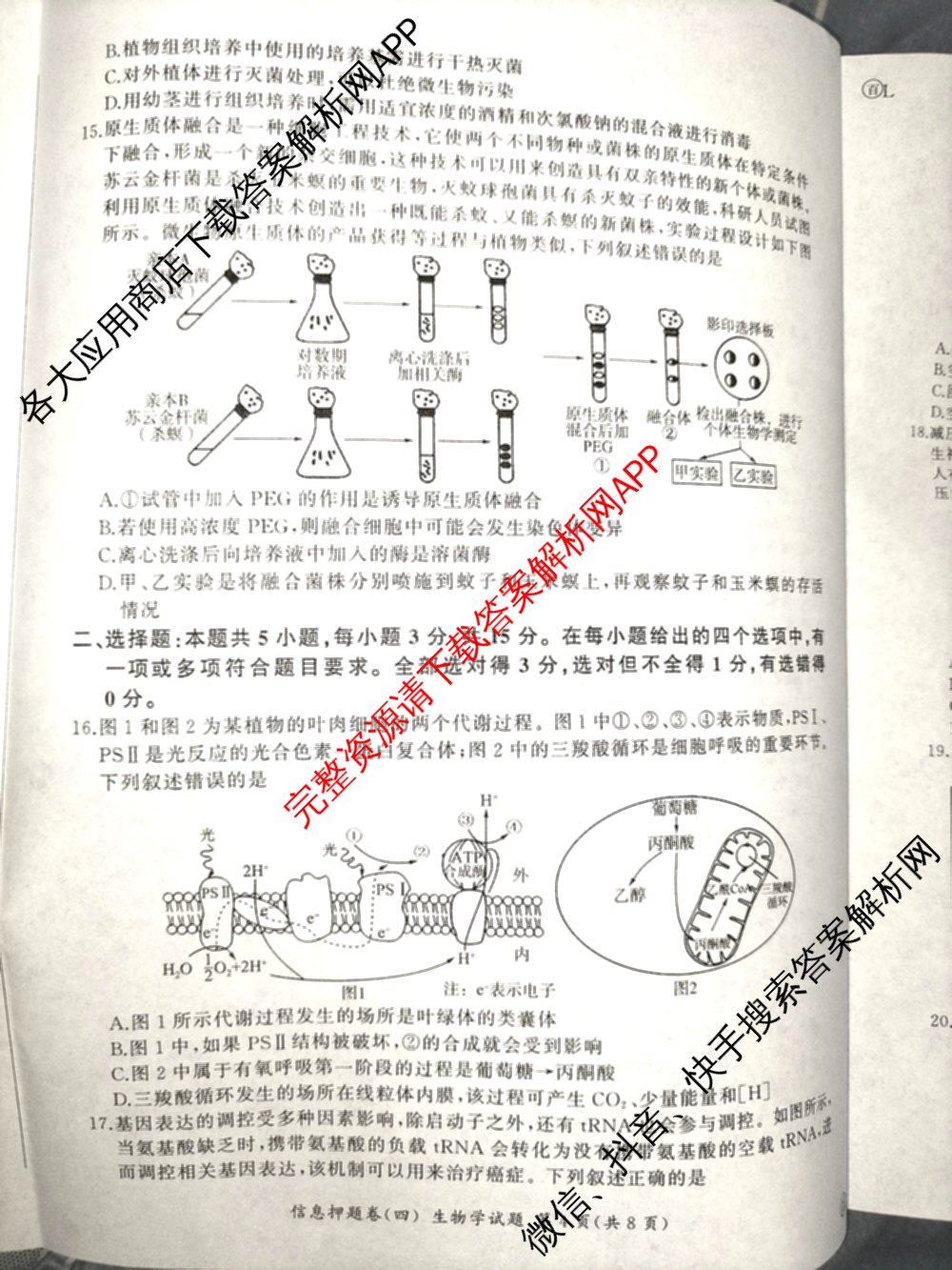 百师联盟2025届高三信息押题卷(四)4试卷及答案汇总（51科全）生物试题