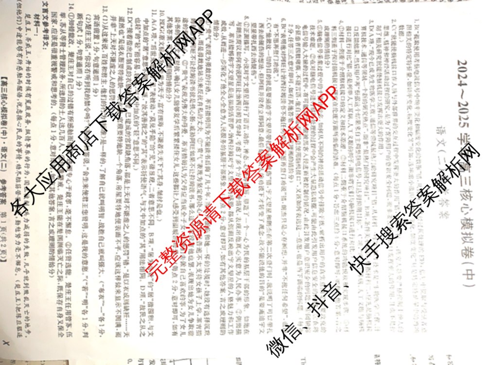 九师联盟2024~2025学年高三核心模拟卷(中)(二)2（含历史 地理(D4) 数学等29份）语文答案