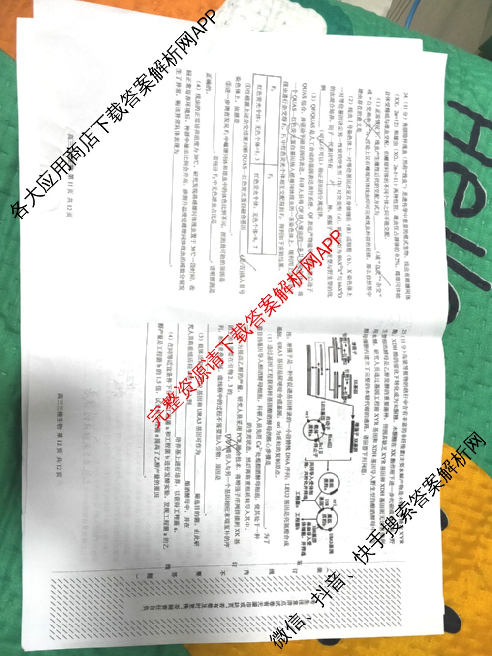 哈三中2025年高三学年第三次模拟考试各科答案及试卷（含化学、数学、语文等9份）生物试题