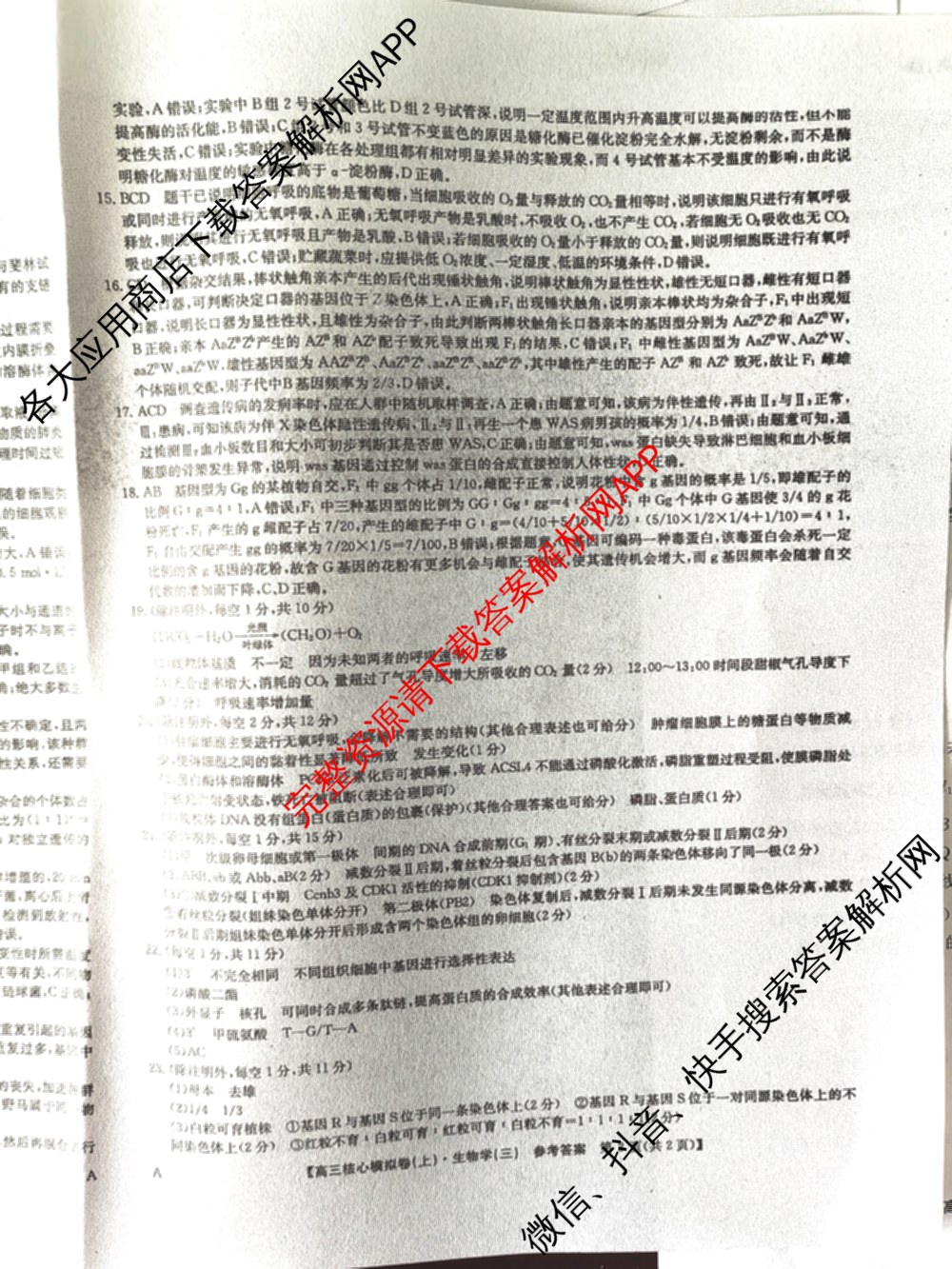 九师联盟2024~2025学年高三核心模拟卷(上)(三)3试卷及答案汇总: 含政治(A)、物理(HF)、语文试卷解析生物答案
