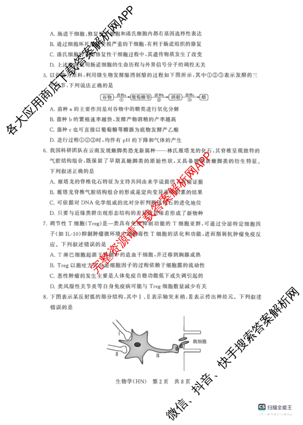 山西省2026届高三年级四月阶段练(SX)试卷及答案汇总(已更新生物(SX)、地理(HN)、政治(HN)等21份)生物试题