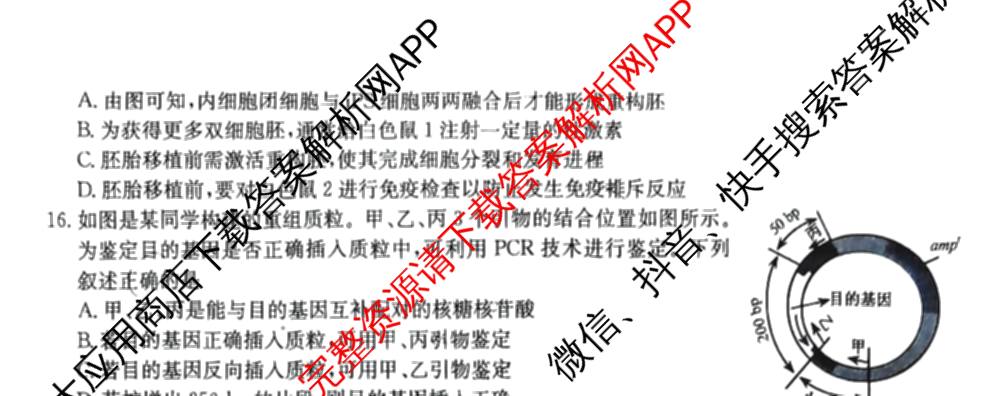 九师联盟2025~2026学年高三核心模拟卷(中)(五): 含政治(河南)、物理(HF)、英语试卷解析生物试题