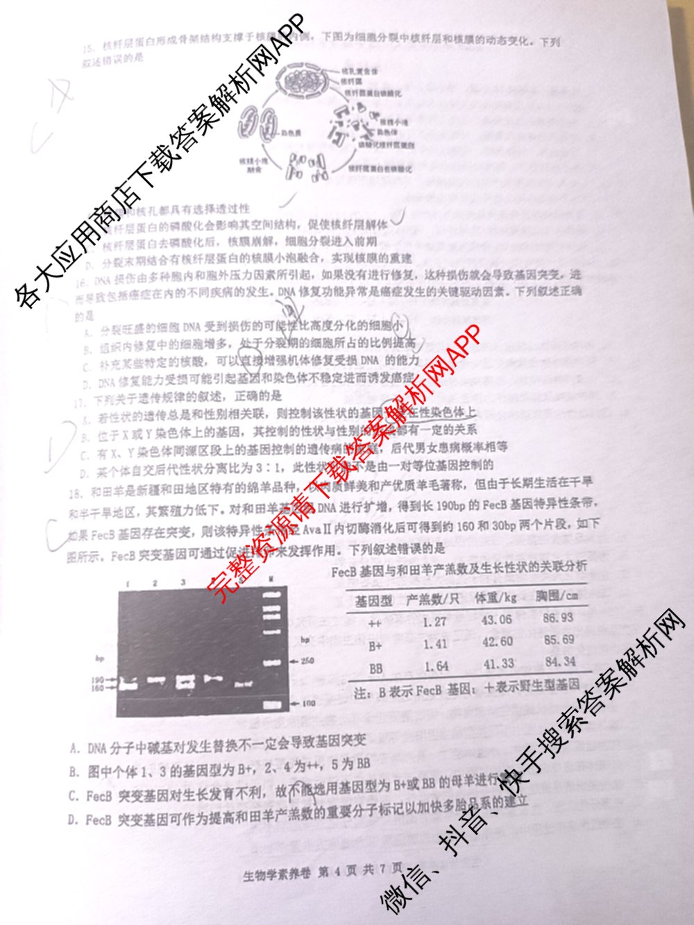 2025年华中师大一附中高考学科核心素养卷试卷及答案汇总（含历史 政治 数学等9份）生物试题