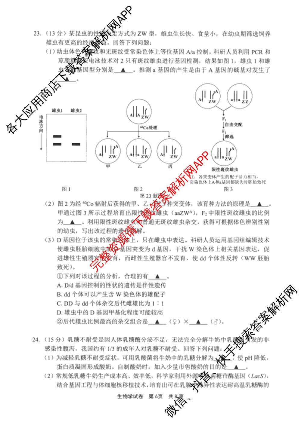 宁波市2025学年第二学期高考模拟考试高三(4月)试卷及答案汇总(已更新物理、英语、语文等10份)生物试题