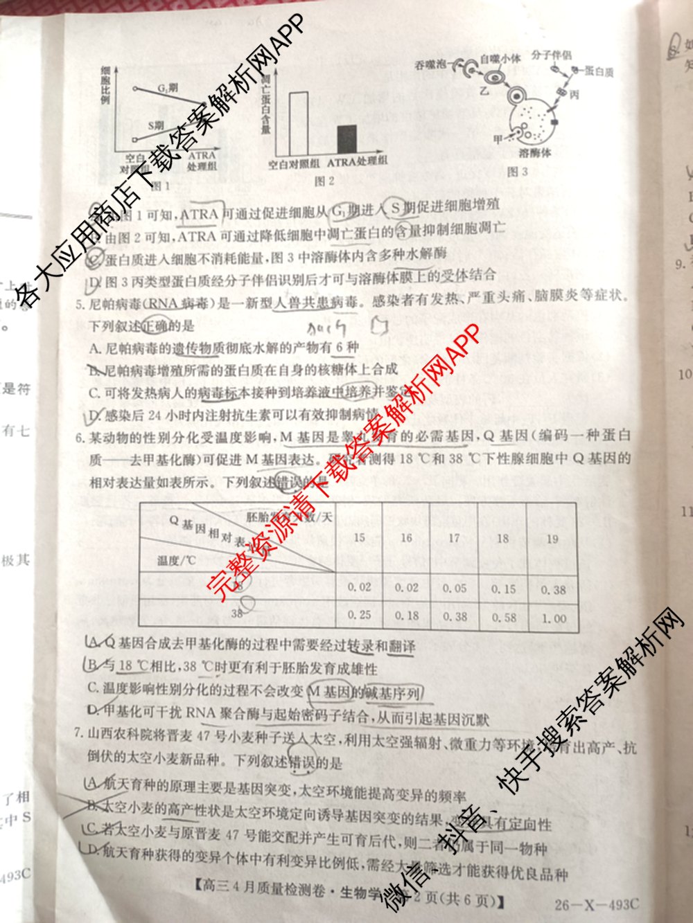 三晋卓越联盟2025-2026学年高三4月质量检测卷(26-X-493C)试卷及答案汇总: 含历史、生物、政治试卷解析生物试题