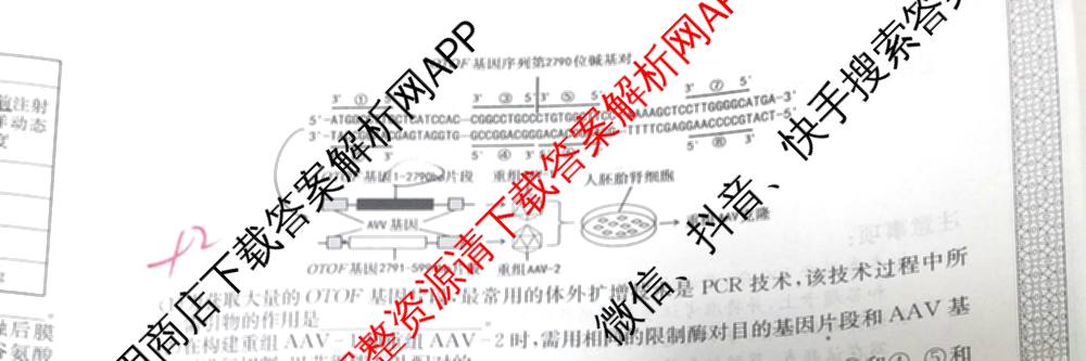 2026年全国高考冲刺压轴卷(一)1（含生物(河南) 地理(C2) 数学等）生物试题