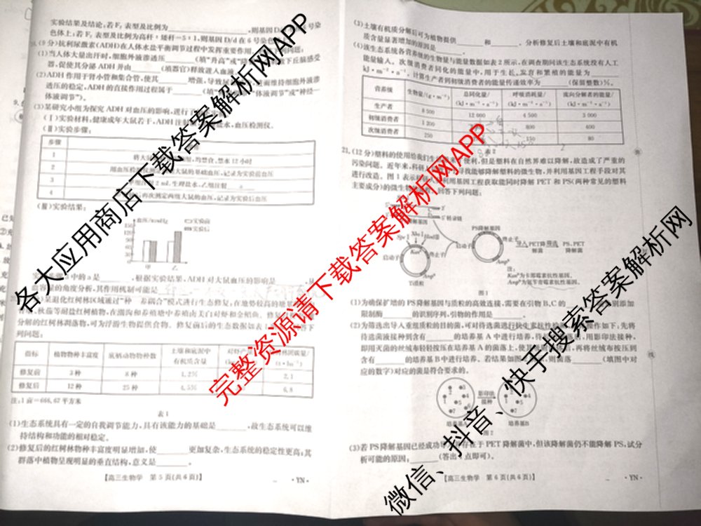 云南省2026届高三8月百万联考(8.26-27)[YN]试卷及答案汇总（含物理(YN) 英语 语文等）生物试题