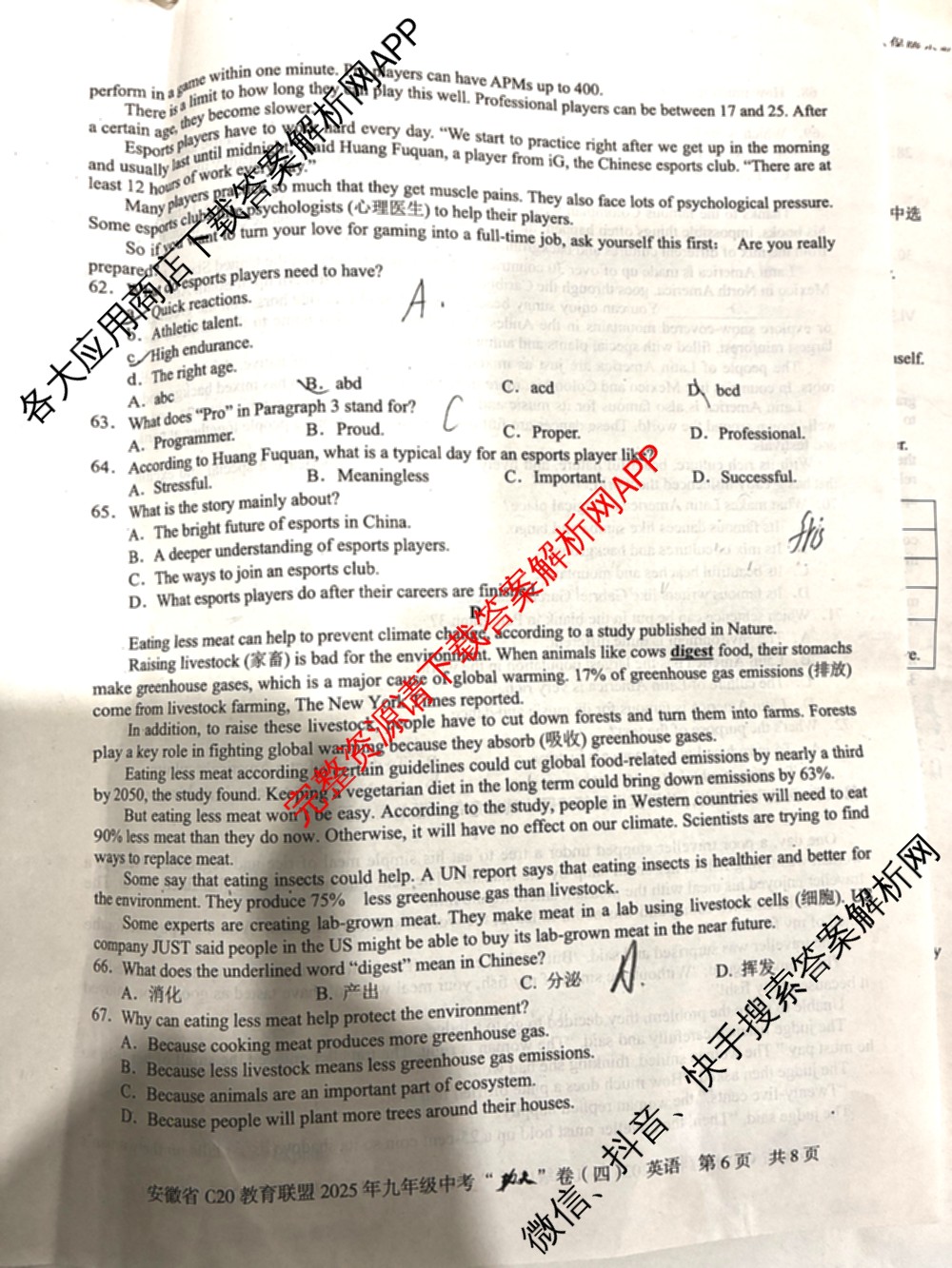 安徽省C20教育联盟2025年九年级中考功夫卷(四)(已更新语文 英语 数学等7份)英语试题