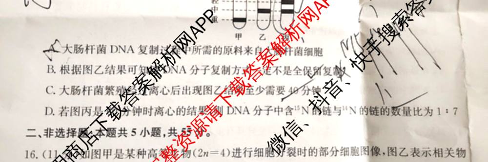[安徽县中联盟]2024~2025学年度第二学期高一5月联考(25-X-732A)各科答案及试卷（含语文、地理(A卷)、生物(B)等）生物试题