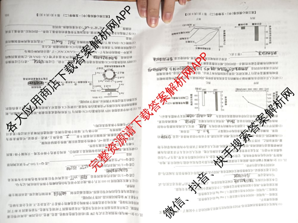 九师联盟2024~2025学年高三核心模拟卷(中)(二)2（含历史 地理(D4) 数学等29份）生物试题