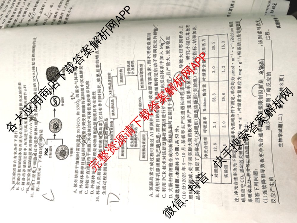 真题密卷2025-2026学年度备考信息导航演练(二)2各科答案及试卷（22科全）生物试题