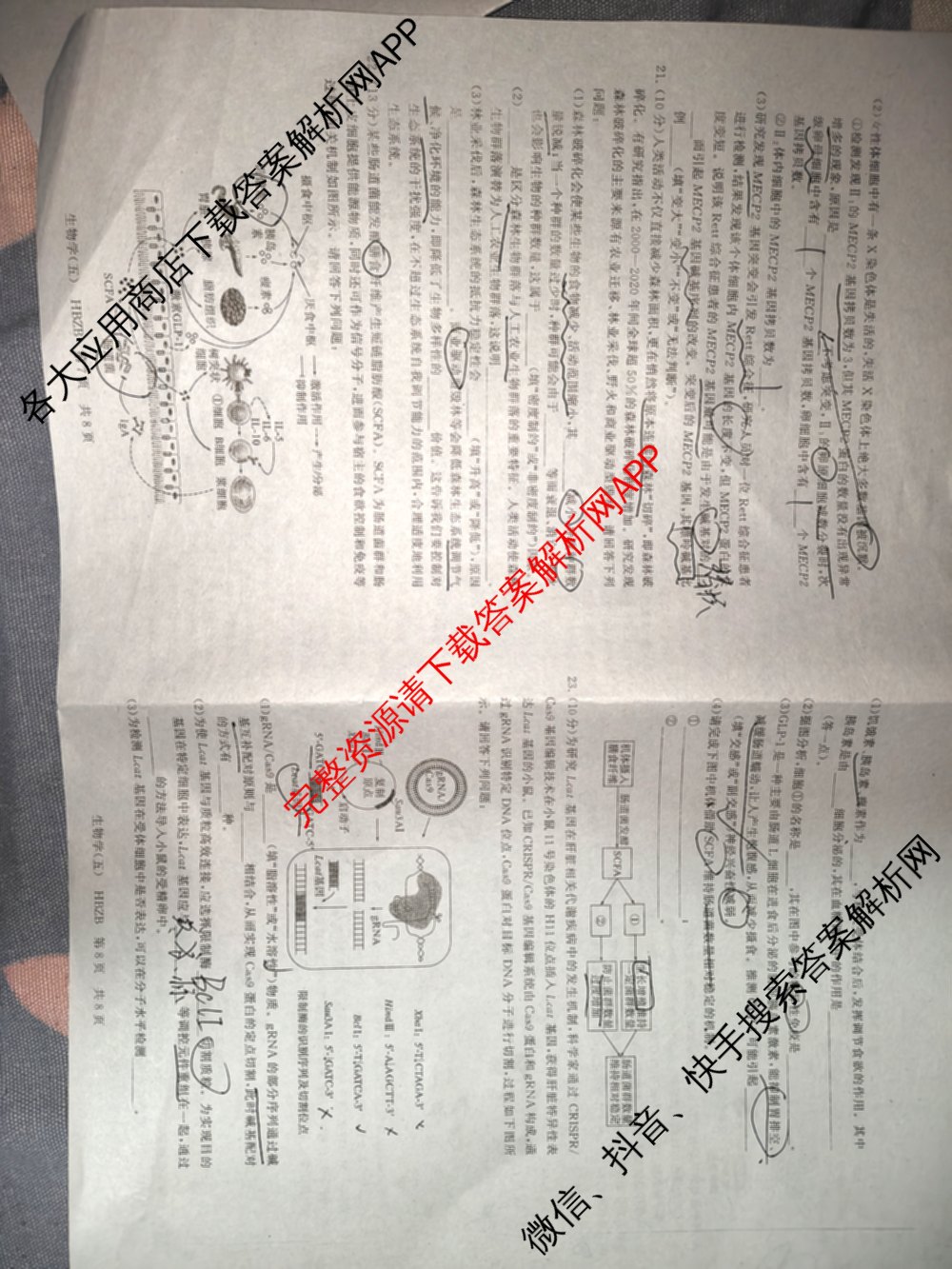冲刺新高考2026届高考仿真训练(T8)(五)5试卷及答案汇总（含历史(河北专版)、地理(河南专版)、语文等）生物试题