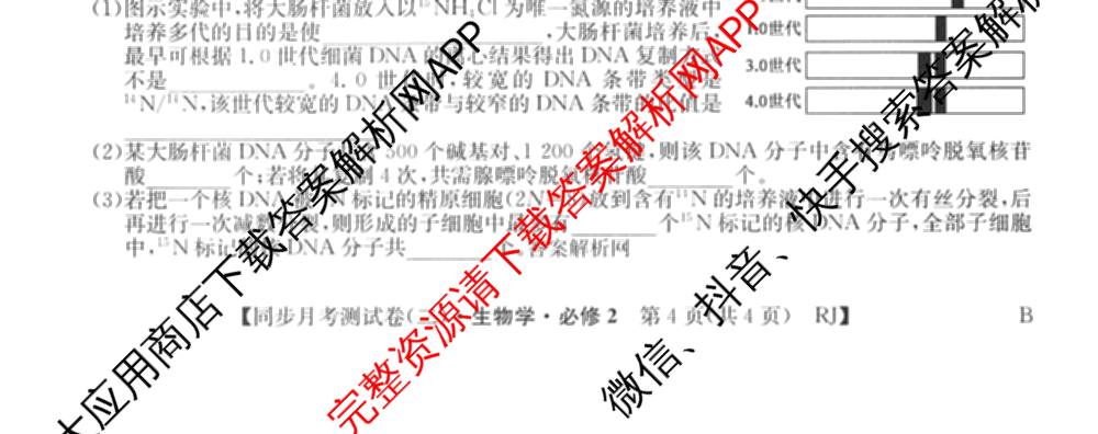 2025-2026学年度高一高中同步月考测试卷(下学期)(二)各科答案及试卷: 含物理(必修第二册)、化学(必修第二册 RJ)、政治(必修3)试卷解析生物试题