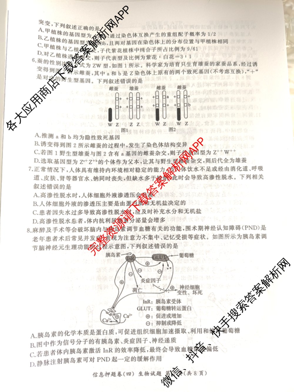 百师联盟2025届高三信息押题卷(四)4试卷及答案汇总（51科全）生物试题