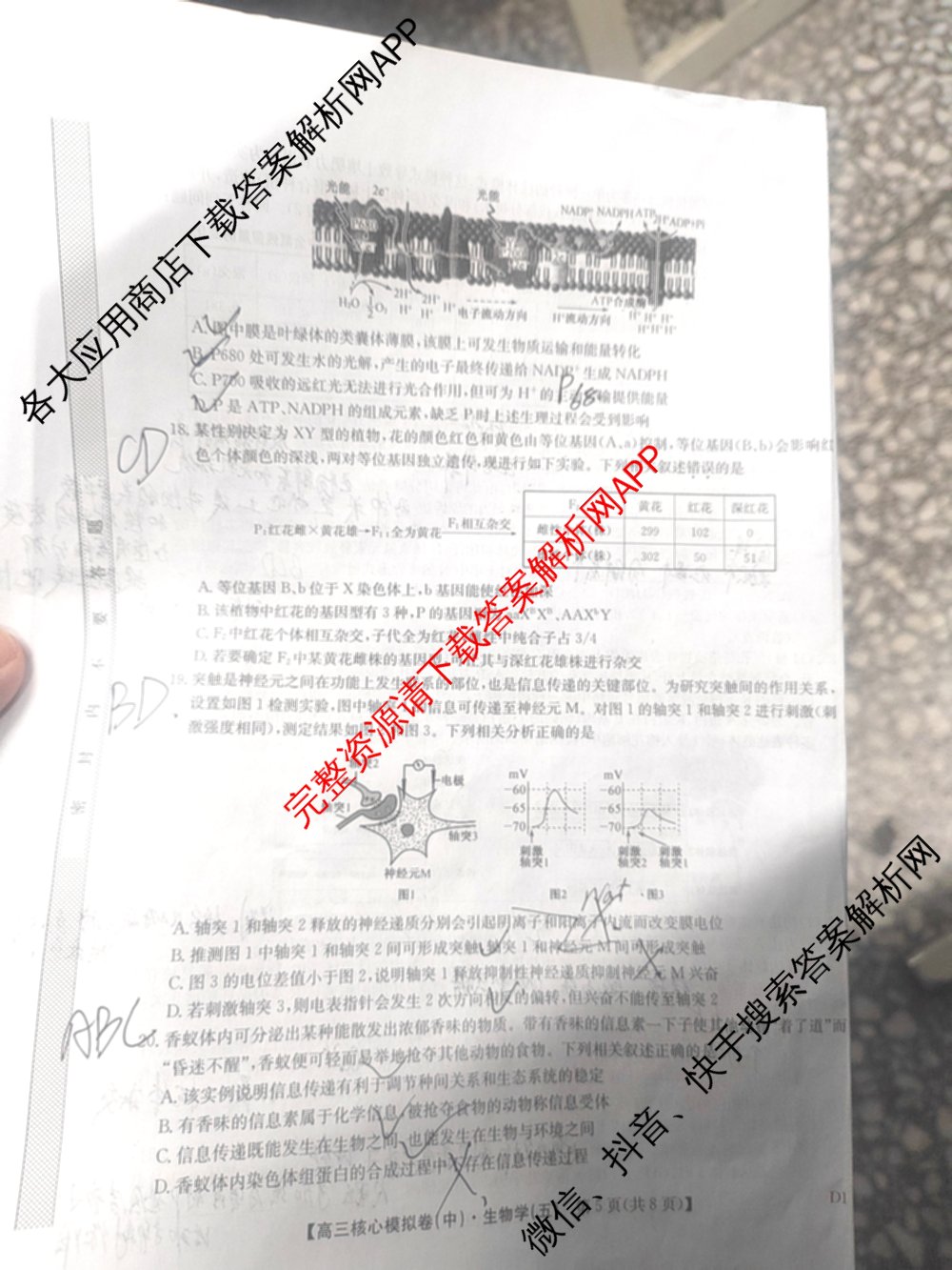 九师联盟2024~2025学年高三核心模拟卷(中)(五)5各科答案及试卷（含地理(HB) 物理(D1) 生物(D1)等）生物试题