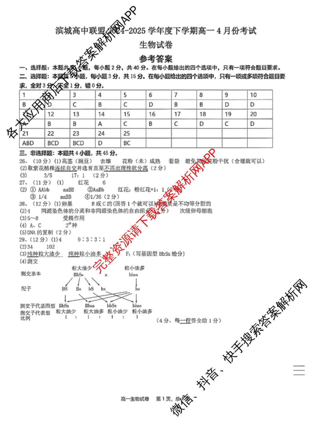 辽宁省大连市滨城高中联盟2024-2025学年度下学期高一4月份考试: 含政治 数学 物理试卷解析生物答案