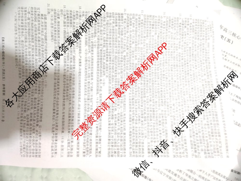 九师联盟2024~2025学年高三核心模拟卷(中)(五)5各科答案及试卷（含地理(HB) 物理(D1) 生物(D1)等）历史答案