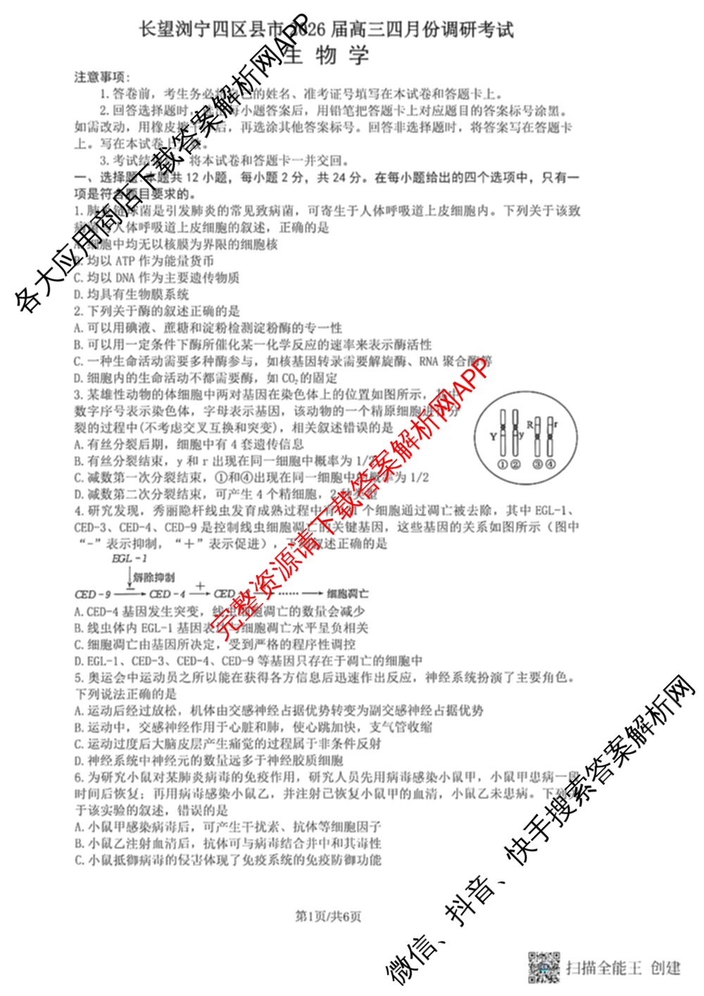 湖南省长望浏宁四区县市2026届高三四月份调研考试试卷及答案汇总（9科全）生物试题