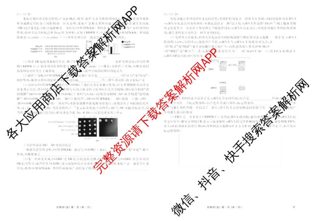 衡水金卷先享题2026年学科素养评价练(五)5各科答案及试卷（含政治(AH)【安徽四川甘肃专版】 物理(HN)【湖南专版】 生物(山东专版)等）生物试题