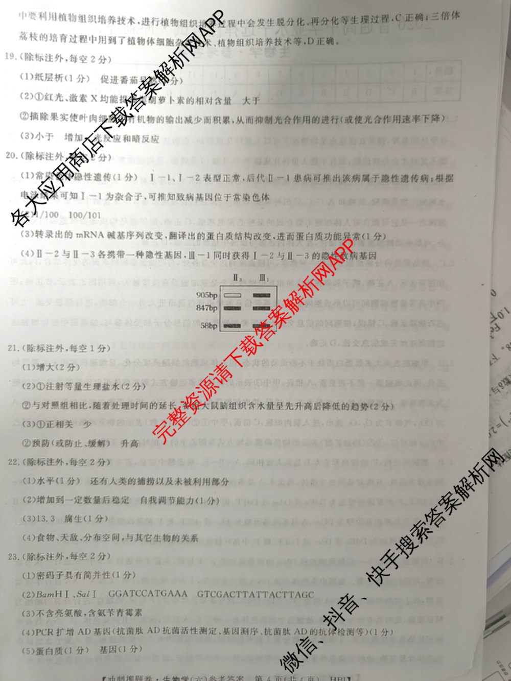 2026普通高等学校招生全国统一考试冲刺押题卷(六)6（16科全）生物答案